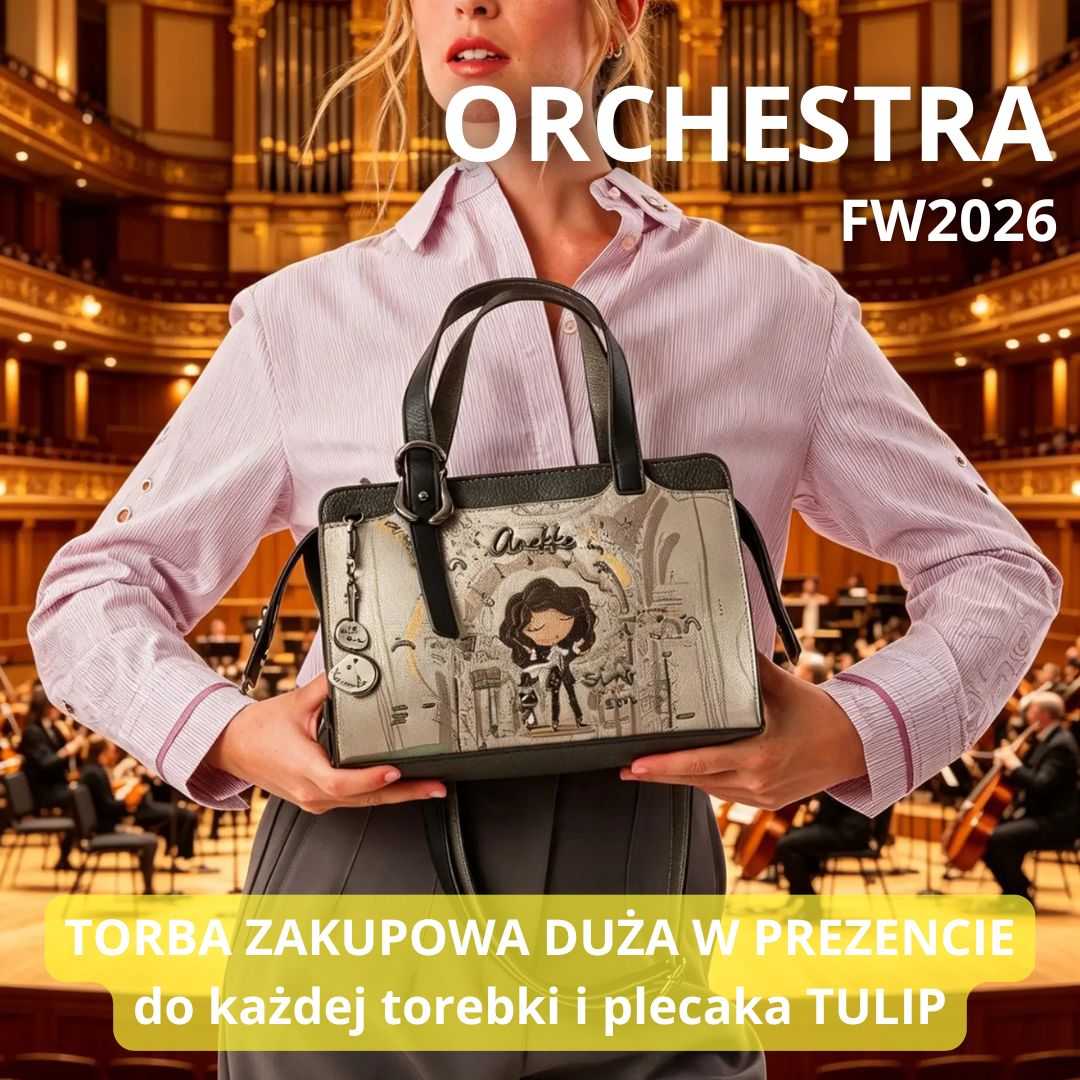 anekke Orchestra